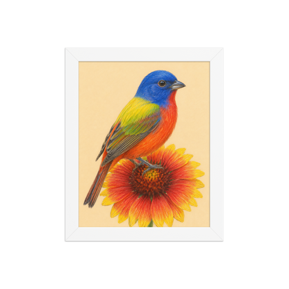 Framed Painted Bunting colored pencil illustration on Indian Blanket flower, wood frame wall art