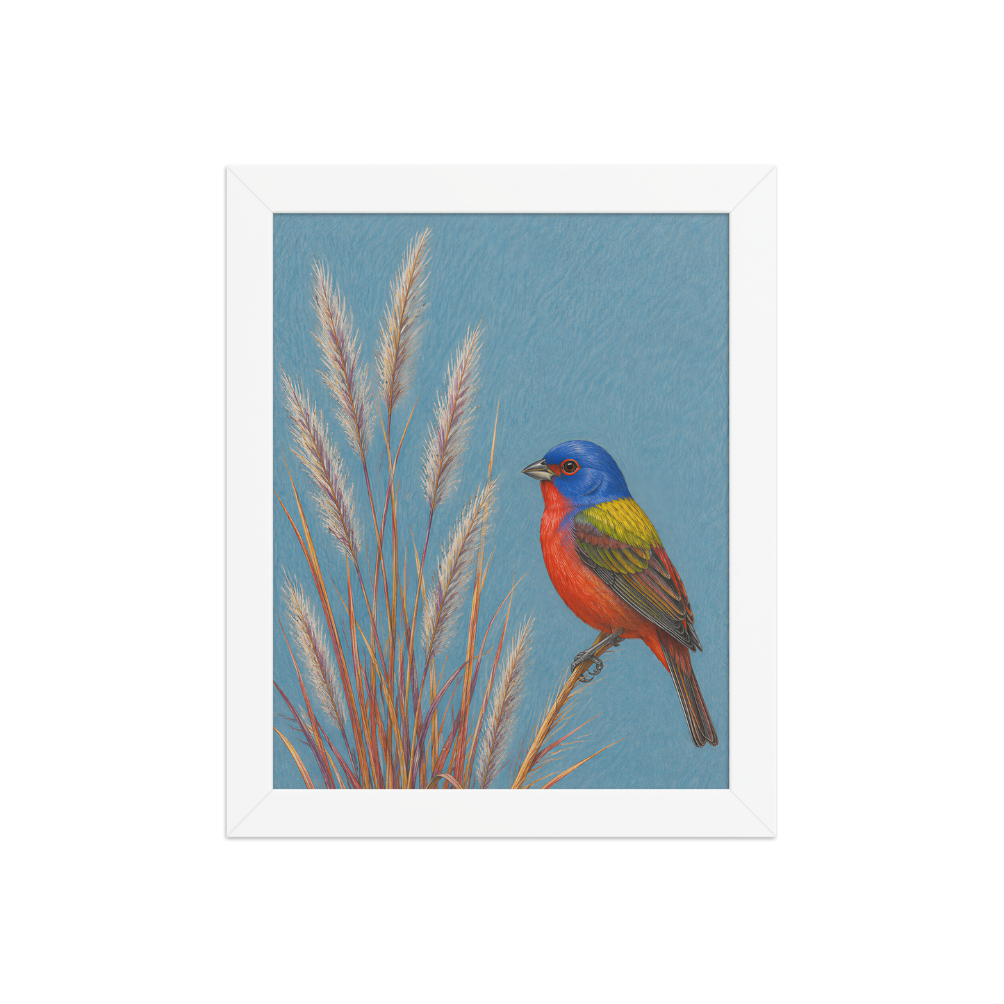 Framed Painted Bunting colored pencil illustration in prairie grass, dusty blue background, wood frame wall art