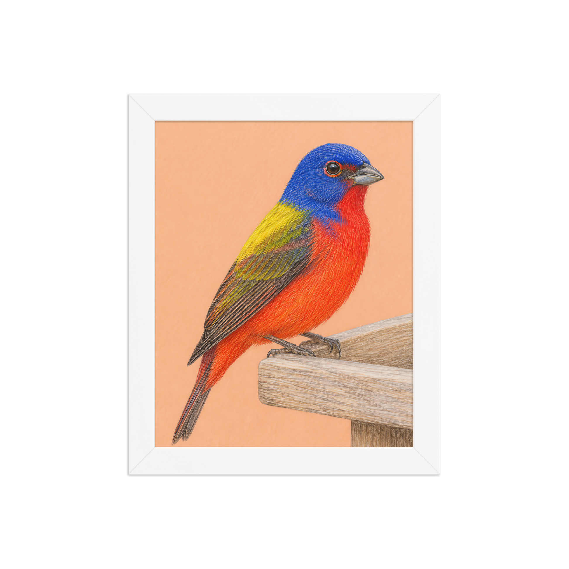 Framed Painted Bunting colored pencil illustration on wooden feeder, apricot background, wood frame wall art