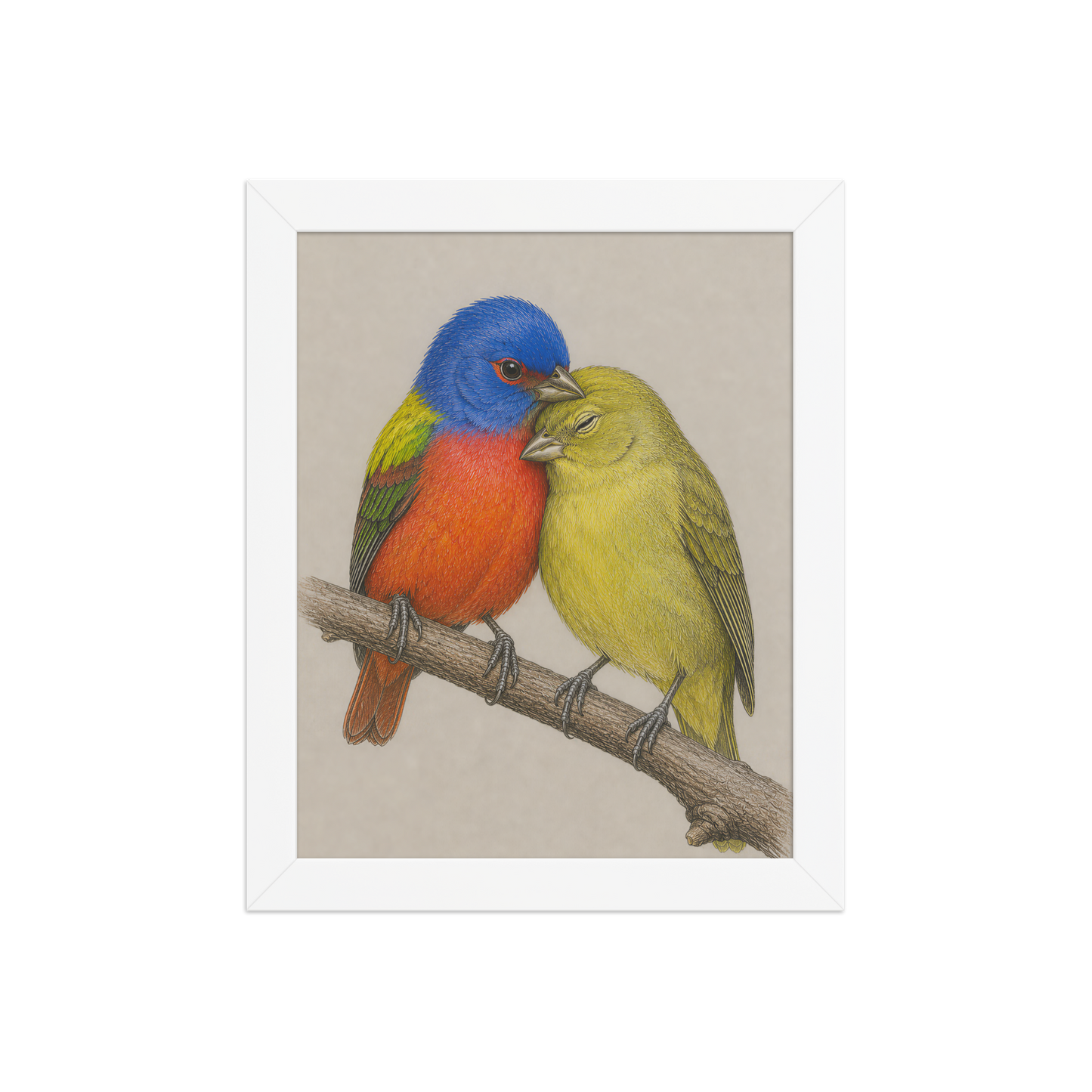 Framed male and female Painted Bunting pair colored pencil illustration, wood frame wall art