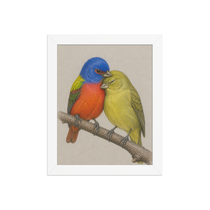 Framed male and female Painted Bunting pair colored pencil illustration, wood frame wall art