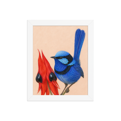 Framed Splendid Fairywren blue wren colored pencil illustration, terracotta background, wood frame wall art