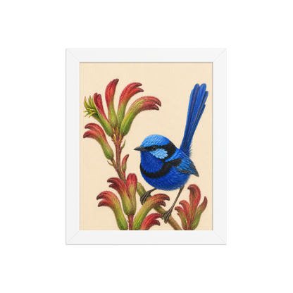 Framed Splendid Fairywren blue wren colored pencil illustration on Kangaroo Paw flowers, wood frame wall art