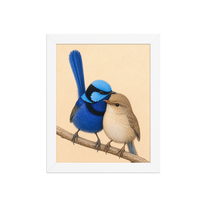 Framed male and female Splendid Fairywren blue wren pair colored pencil illustration, wood frame wall art