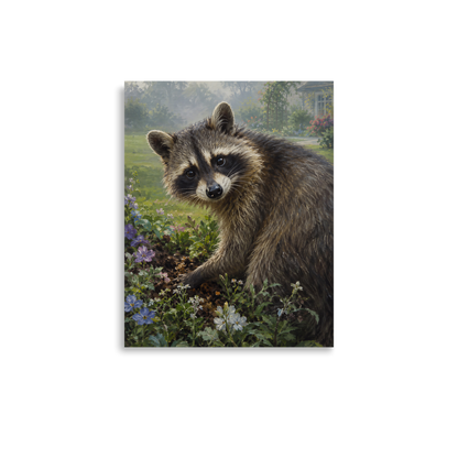 Garden Raccoon Curiosity Poster