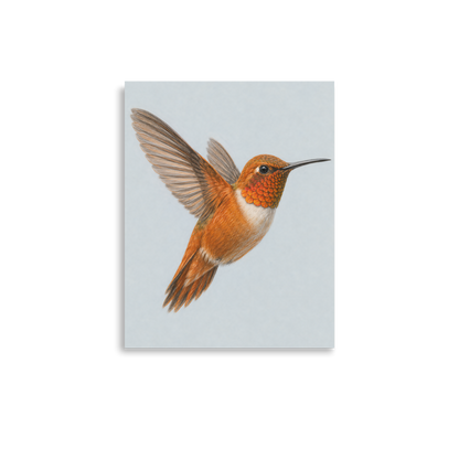 Rufous hummingbird colored pencil illustration print on dusty blue pastel background wall art