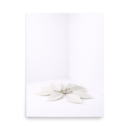 Minimalist wall poster with white leaves arrangement on light background, neutral interior decor