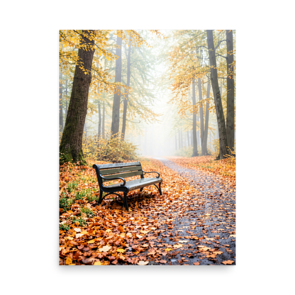 Autumn park bench wall art print, foggy forest path with fall leaves, calm aesthetic poster, JMTR Jeometry Store