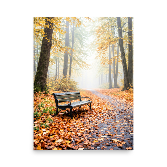Autumn park bench wall art print, foggy forest path with fall leaves, calm aesthetic poster, JMTR Jeometry Store