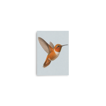 Rufous hummingbird colored pencil illustration print on dusty blue pastel background wall art