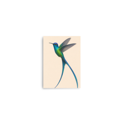 Long-tailed Sylph hummingbird colored pencil illustration print, teal iridescent plumage on warm cream background wall art
