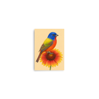 Painted Bunting colored pencil illustration on Indian Blanket flower, sandy cream background wall art