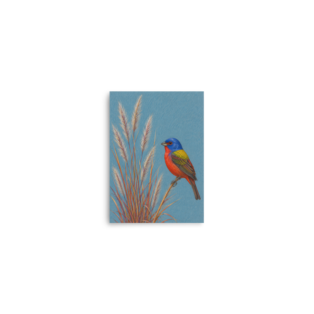 Painted Bunting colored pencil illustration in prairie grass, dusty blue background wall art