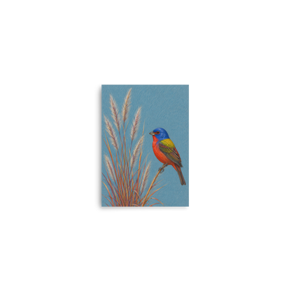 Painted Bunting colored pencil illustration in prairie grass, dusty blue background wall art