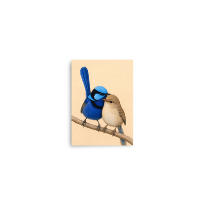 Male and female Splendid Fairywren blue wren pair colored pencil illustration on warm background